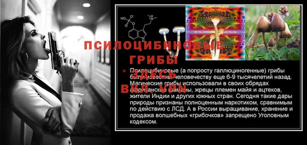 спайс Абдулино